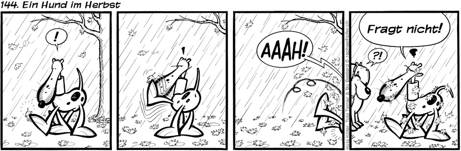144. Ein Hund im Herbst