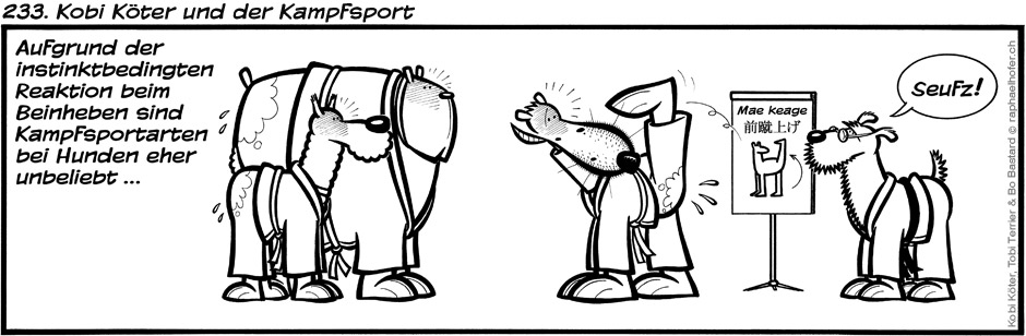 233. Kobi Köter und der Kampfsport