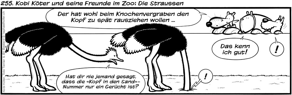 255. Kobi Köter und seine Freunde im Zoo: Die Straussen