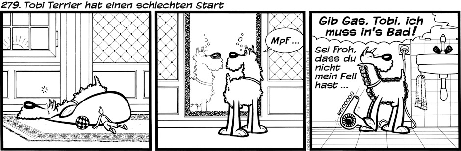 279. Tobi Terrier hat einen schlechten Start