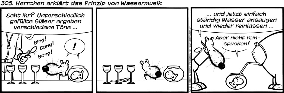 305. Herrchen erklärt das Prinzip von Wassermusik