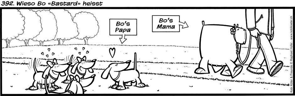 392. Wieso Bo «Bastard» heisst