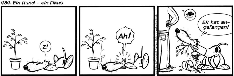 434. Ein Hund - ein Fikus
